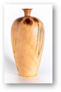 Dave - Norfolk Island Pine